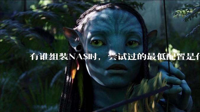 有谁组装NAS时，尝试过的最低配置是什么？