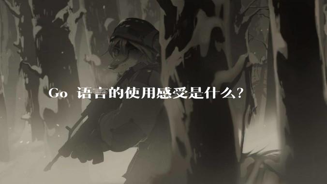Go 语言的使用感受是什么？
