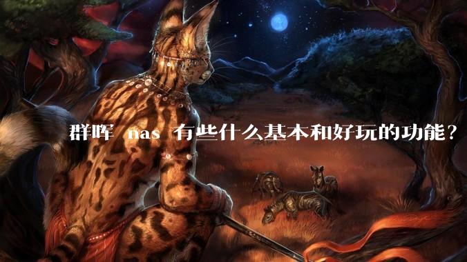 群晖 nas 有些什么基本和好玩的功能？