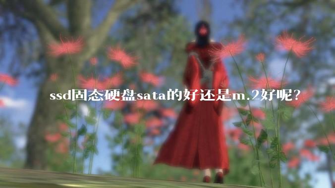 ssd固态硬盘sata的好还是m.2好呢？