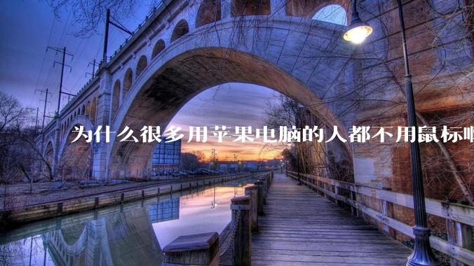 为什么很多用苹果电脑的人都不用鼠标啊?