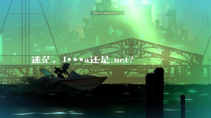 迷茫。J***a还是.net？