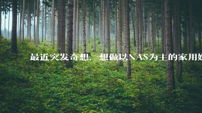 最近突发奇想，想做以NAS为主的家用媒体中心。下面是我做的一个草图，各位大神看看可行吗？