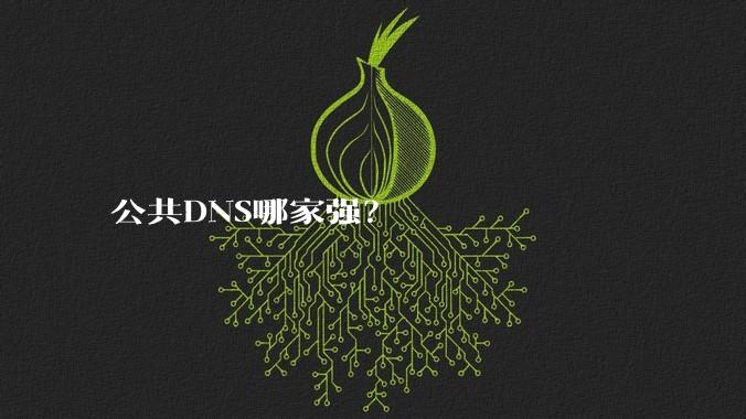 公共DNS哪家强？