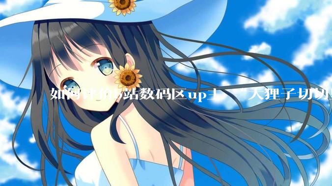 如何评价b站数码区up主 “大狸子切切里”?