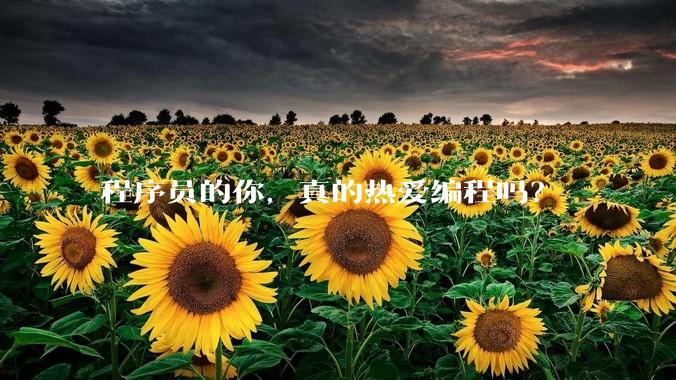 程序员的你，真的热爱编程吗？