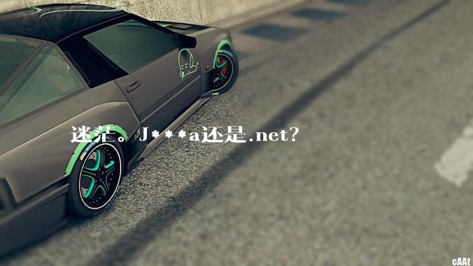 迷茫。J***a还是.net？