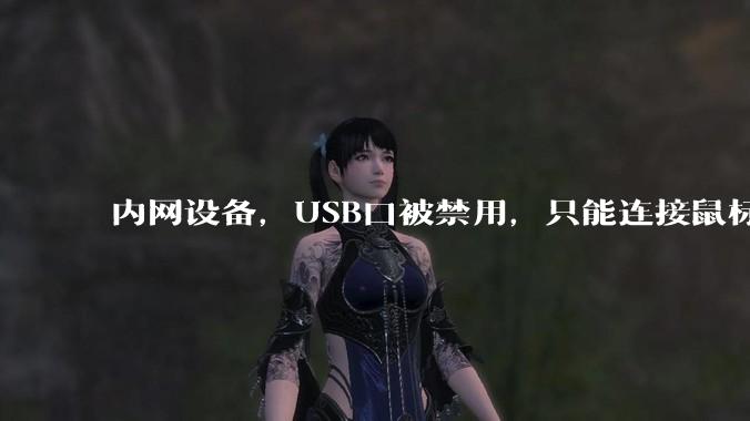 内网设备，USB口被禁用，只能连接鼠标和键盘，有什么办法可以实现数据拷入？