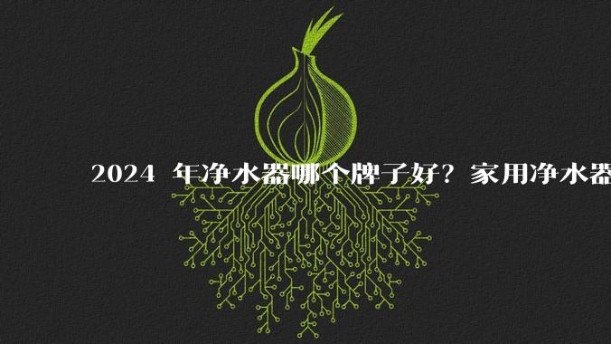 2024 年净水器哪个牌子好？家用净水器的选购攻略是什么？