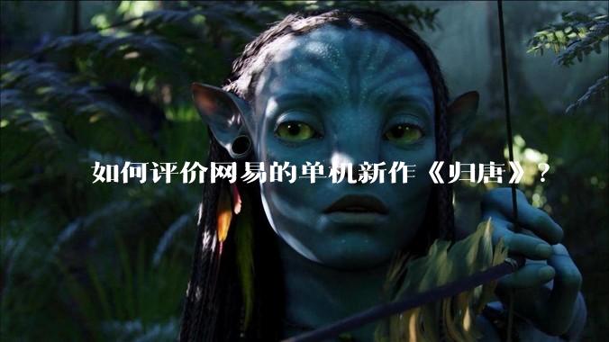如何评价网易的单机新作《归唐》？
