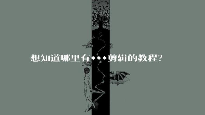 想知道哪里有***剪辑的教程？