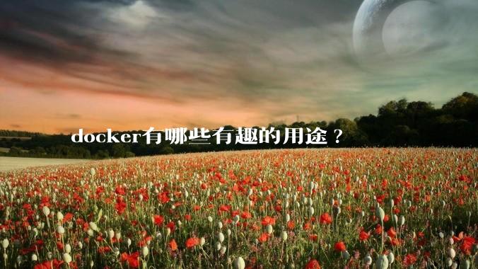 docker有哪些有趣的用途?
