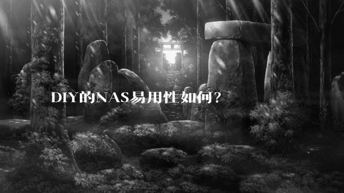 DIY的NAS易用性如何？