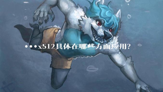 ***x512具体在哪些方面应用？