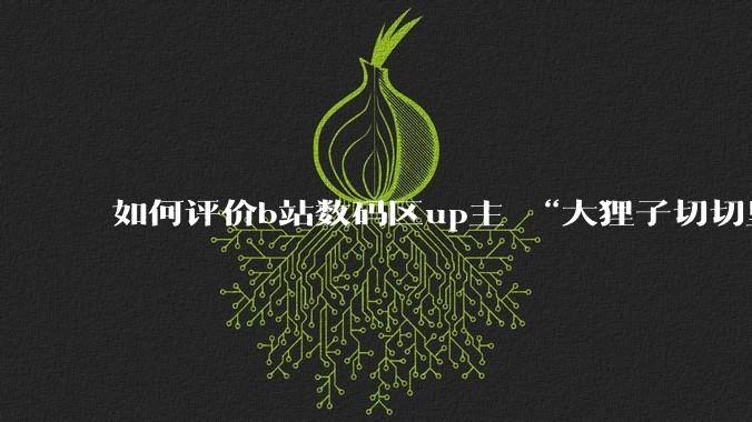 如何评价b站数码区up主 “大狸子切切里”?