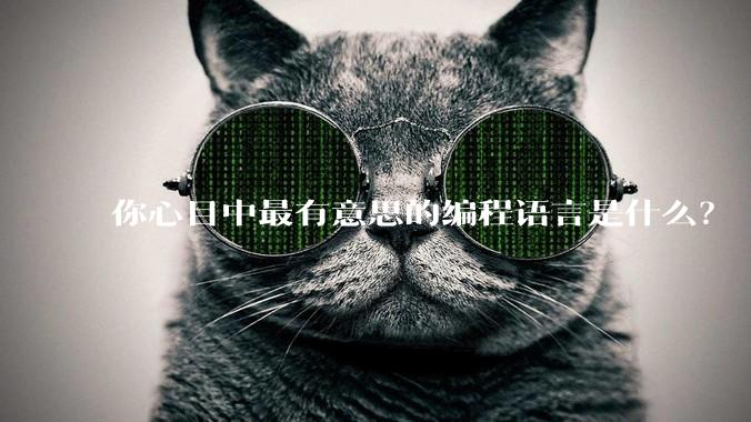 你心目中最有意思的编程语言是什么？