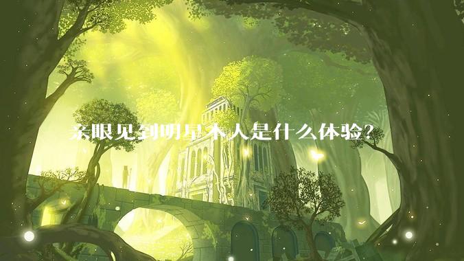 亲眼见到明星本人是什么体验？