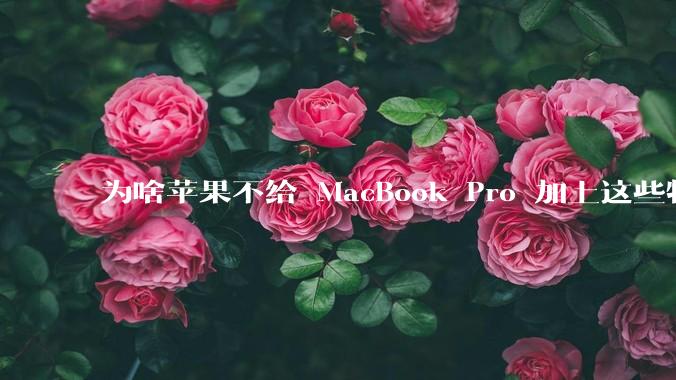 为啥苹果不给 MacBook Pro 加上这些特性？