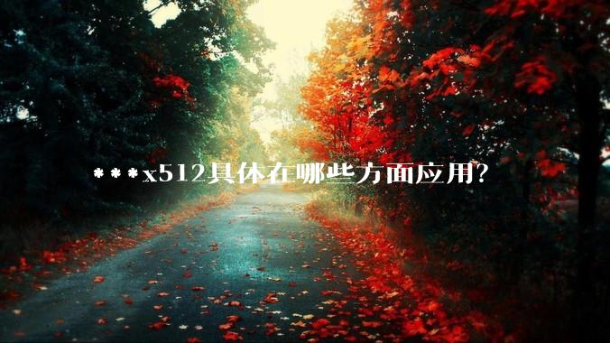 ***x512具体在哪些方面应用？