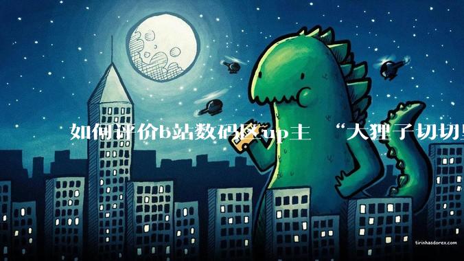 如何评价b站数码区up主 “大狸子切切里”?
