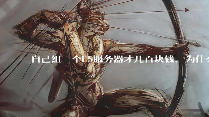 自己组一个E5服务器才几百块钱，为什么去阿里云租这么贵?