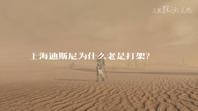 上海迪斯尼为什么老是打架？