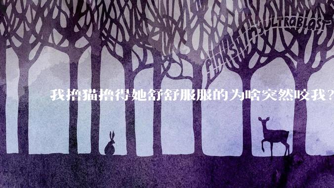 我撸猫撸得她舒舒服服的为啥突然咬我？