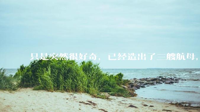 只是突然很好奇，已经造出了三艘航母，为何不能按照这样的模板，批量建造航母呢?