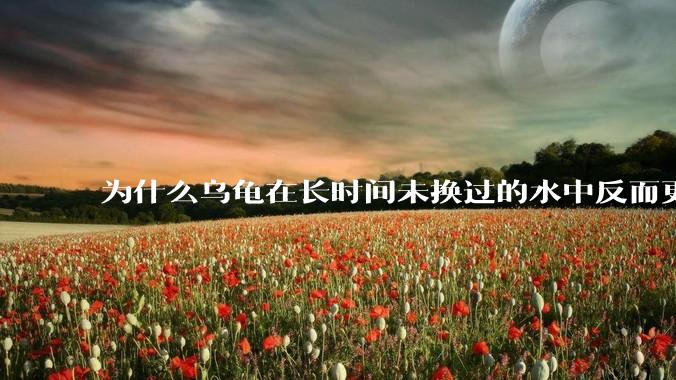 为什么乌龟在长时间未换过的水中反而更活跃？