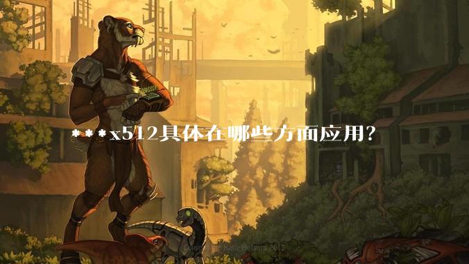 ***x512具体在哪些方面应用？