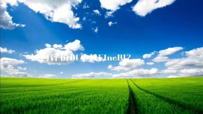 如何评价BI工具FineBI？