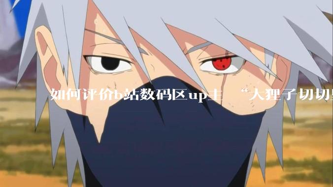如何评价b站数码区up主 “大狸子切切里”?