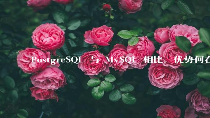 PostgreSQL 与 MySQL 相比，优势何在？