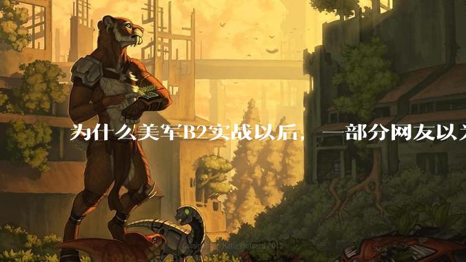 为什么美军B2实战以后，一部分网友以为其他人都跟他们一样感到很震惊？