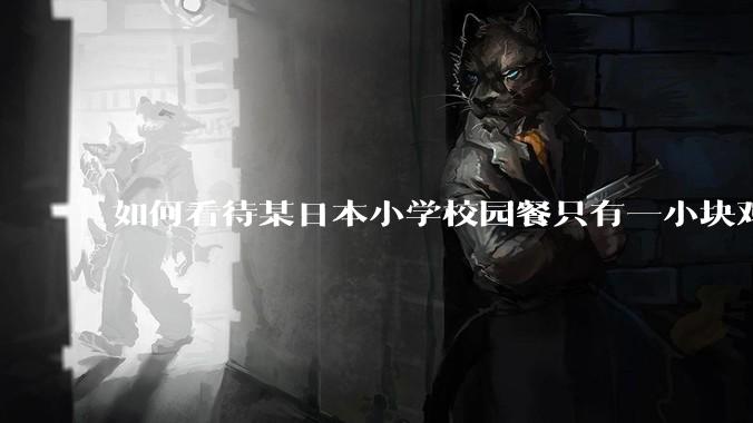 如何看待某日本小学校园餐只有一小块鸡肉？