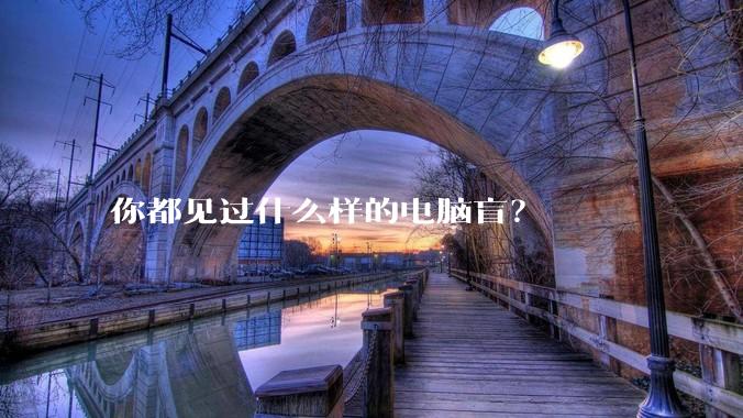 你都见过什么样的电脑盲？