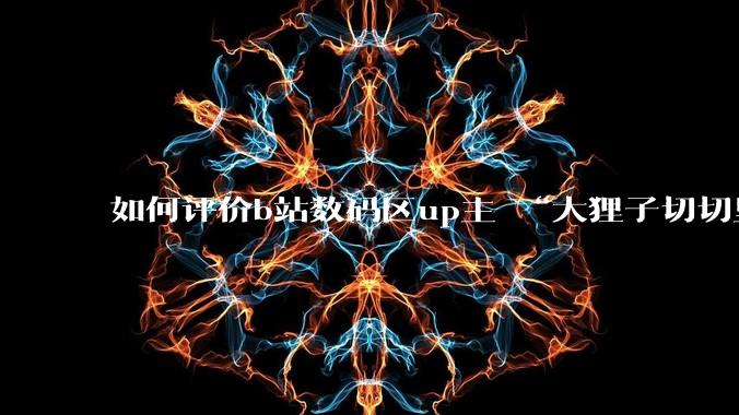 如何评价b站数码区up主 “大狸子切切里”?