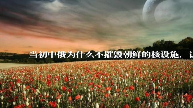 当初中俄为什么不摧毁朝鲜的核设施，让朝鲜拥有了自己的核武器？