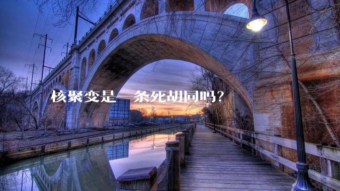 核聚变是一条死胡同吗？