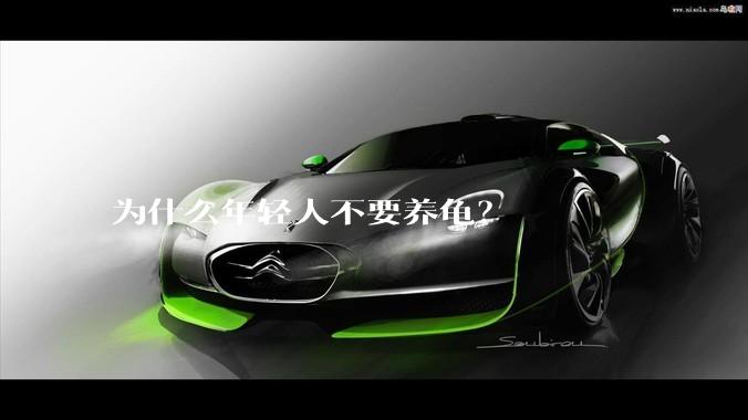 为什么年轻人不要养龟？