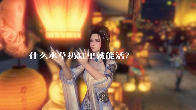 什么水草扔缸里就能活？