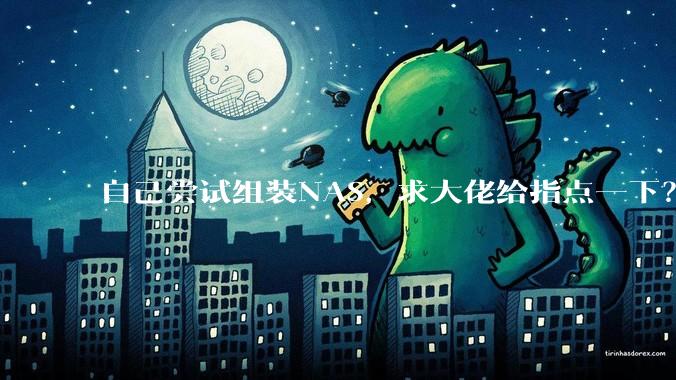 自己尝试组装NAS，求大佬给指点一下？