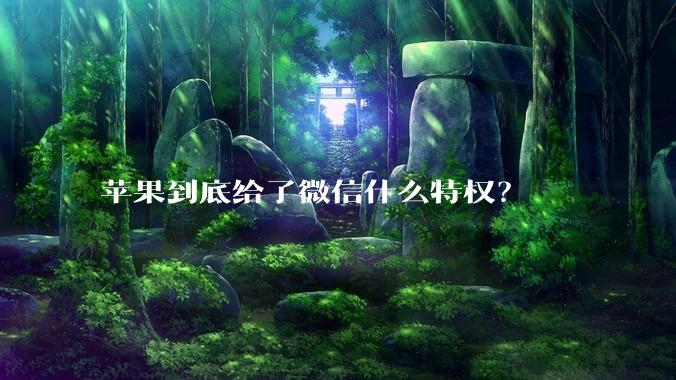 苹果到底给了微信什么特权？