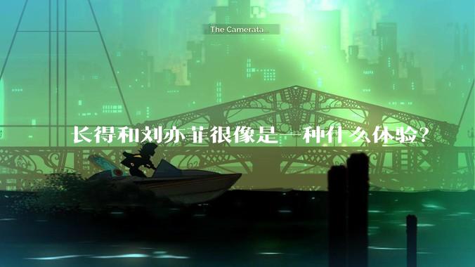 长得和刘亦菲很像是一种什么体验？