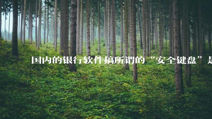 国内的银行软件搞所谓的“安全键盘”是不是有什么大病？