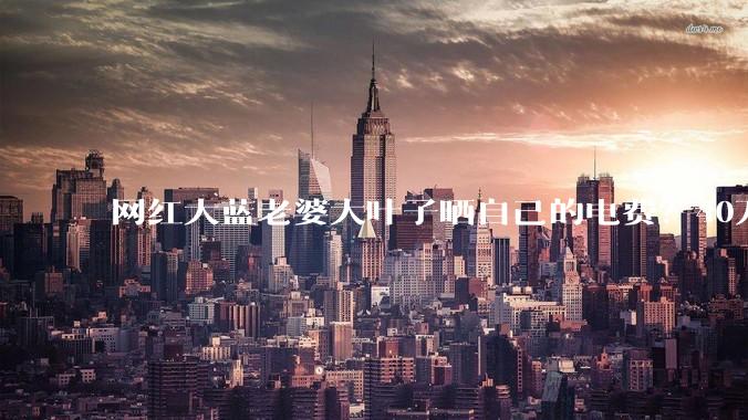 网红大蓝老婆大叶子晒自己的电费？40万每年，到底是什么概念？