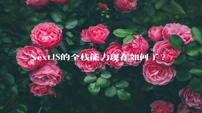 NextJS的全栈能力现在如何了?