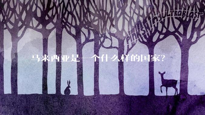 马来西亚是一个什么样的国家？
