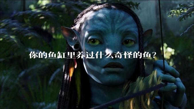 你的鱼缸里养过什么奇怪的鱼？