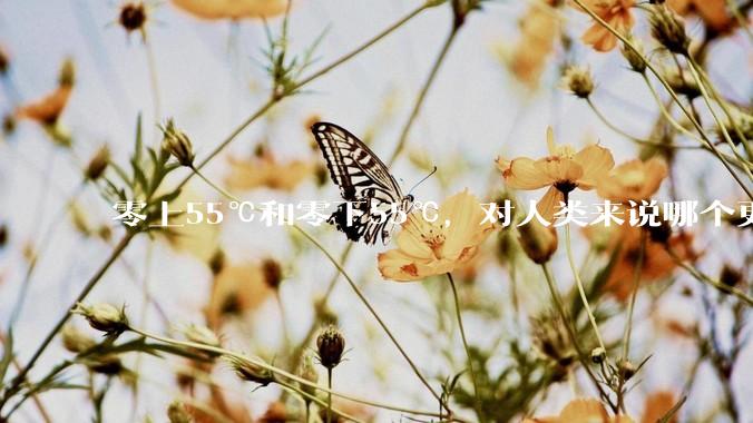 零上55℃和零下55℃，对人类来说哪个更难以适应？
